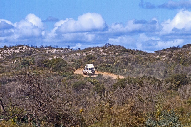 In den Nambung Nationalpark führt die letzte Gravelroad auf unserem Weg nach Perth